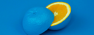 photo of a blue orange cut in half, with inside showing a vibrant orange color